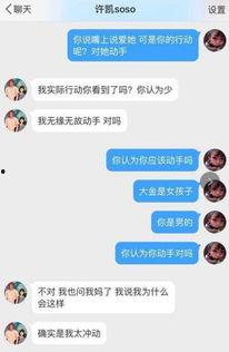 最新爆料许凯事件视频,真相与争议再引热议