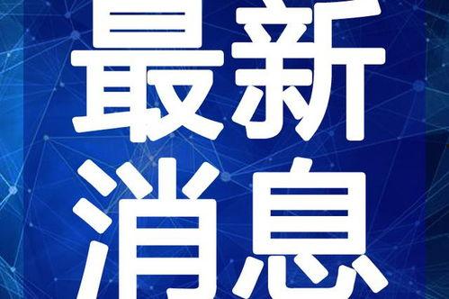 赣州美食爆料视频大全最新,最新爆料视频大全，味蕾盛宴来袭！