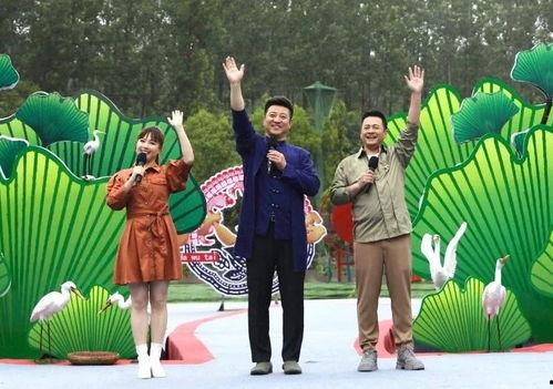 爆料南宁楼市最新消息视频,揭秘视频爆料背后的真相