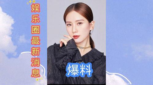 娱乐圈最新爆料论坛,揭秘明星背后的惊人真相！